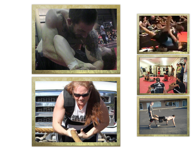 Blue Collar Fighter is a mixed-martial arts club located in Peoria, Arizona.